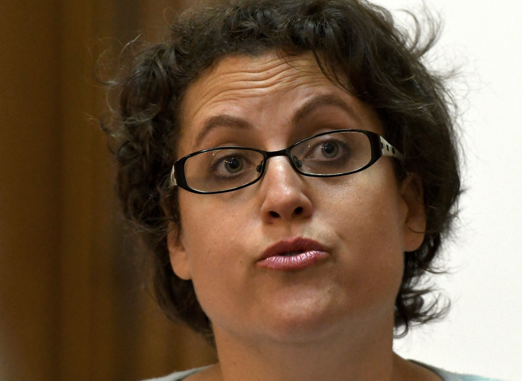 Dana Balter Town Hall 5.JPG